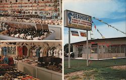 Seahorse Gift Shop Postcard