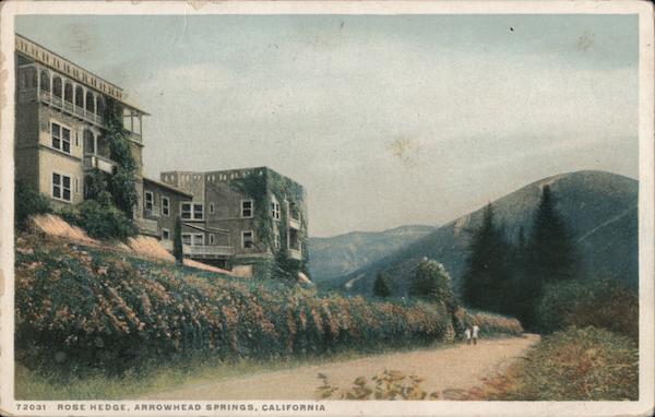 Rose Hedge Arrowhead Springs California