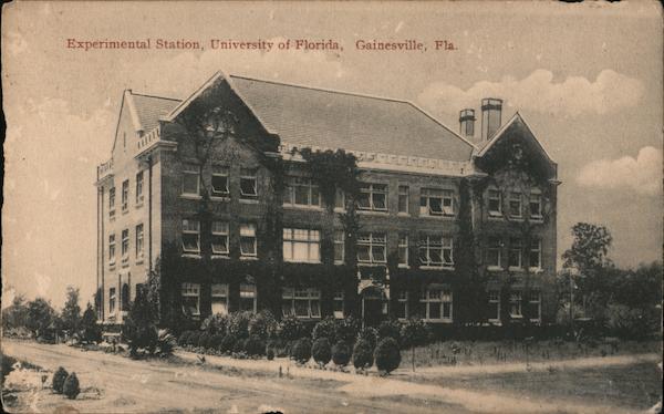 Experimental Station, University of Florida Gainesville