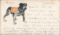 Baker University Mascot, Bulldog Postcard