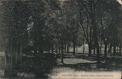 Aeolian Arbor, Baker University Postcard