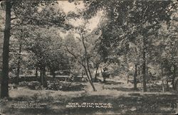 The Shadows Postcard