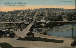 A Bird's Eye View of Fremont Postcard