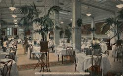 National Hotel Winter Garden Postcard
