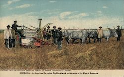 An American Harvesting Machine at work on the estate of the King of Roumania Postcard
