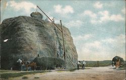 Stacking Alfalfa Hay - the seventh crop of the year Postcard