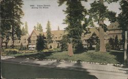 Tahoe Tavern Among the Pines Postcard