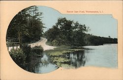 Beaver Dam Pond Westhampton, NY Postcard Postcard Postcard