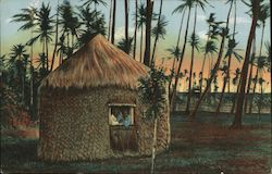 Grass Hut, Hawaiian or Sandwich Islands Postcard