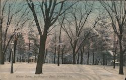 Winter Scene, Washington Park Postcard