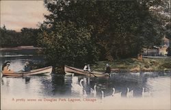 A Pretty Scene On Douglas Park Lagoon Postcard