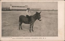 Child Riding a Donkey Atlantic City, NJ Postcard Postcard Postcard