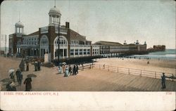 Steel Pier Postcard