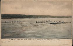 Atrial Spin of the Cornell Crews on Cayuga Lake Postcard