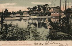 Water Scene at Tarpon Springs, FL Postcard