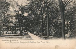 The Campus, University of Michigan Postcard