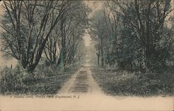 A Shaded Drive, Phelps Park Postcard