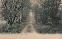 A Shaded Drive, Phelps Park Postcard