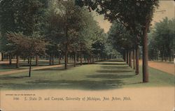 S. State St. and Campus, University of Michigan Ann Arbor, MI Postcard Postcard Postcard