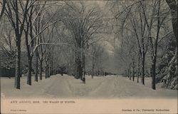 The Walks in Winter Ann Arbor, MI Postcard Postcard Postcard