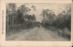 The Brick Roads to Our Camp Cassadaga Spiritualist Postcard