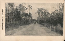 The Brick Roads to Our Camp Cassadaga Spiritualist Florida Postcard Postcard Postcard