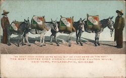 The Best Coffee Ever Known Cauchois' Fulton Mills Advertising Postcard Postcard Postcard