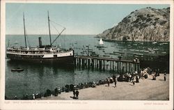 Boat Landing at Avalon Postcard
