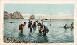 Sea Bathing at Avalon Santa Catalina Island, CA Postcard Postcard Postcard