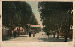 The Canvas City Santa Catalina Island, CA Postcard Postcard Postcard