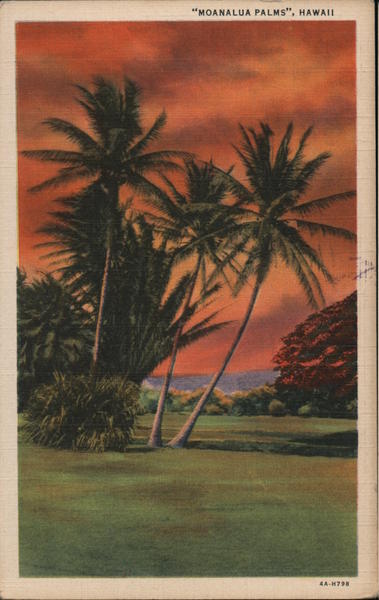 Moanalua Palms Honolulu Hawaii