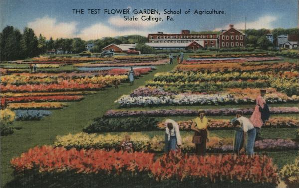 The Test Flower Garden, School of Agriculture State College Pennsylvania