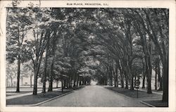 Elm Place Postcard