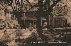 The Elms - Home of Mr. & Mrs. Joseph Bentley Kellogg Natchez, MS Postcard Postcard Postcard