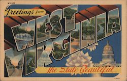 Greetings from West Virginia Postcard