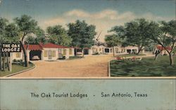 The Oak Tourist Lodges San Antonio, TX Postcard Postcard 