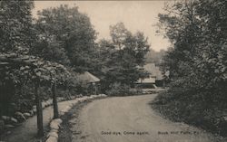 Street View of Buck Hill Falls Pennsylvania Postcard Postcard Postcard