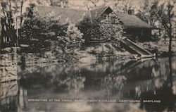 Springtime at the Creek, Saint Joseph's College Postcard