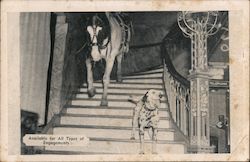 King - Hollywood Wonder Horse and his Dog Pal Keeno Postcard