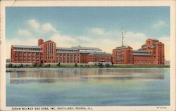 Hiram Walker and Sons, Inc. Distillery Peoria, IL Postcard Postcard Postcard