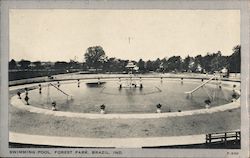 Swimming Pool, Forest Park Postcard