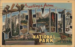 Greetings from Yosemite National Park Postcard