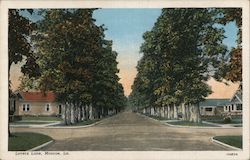 Lovers Lane Postcard