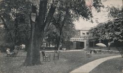 Home Lawn Mineral Springs Postcard