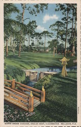 Eagle’s Nest - North Brook Cascade, Clearwater - Belleair, FL Postcard