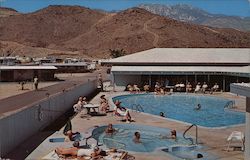 Safari Park Palm Springs, CA Postcard Postcard Postcard