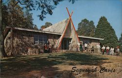 Sequoyah Caves Hammondville, AL Postcard Postcard Postcard