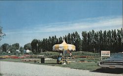 Show Garden by Henry Field Seed & Nursery Co Shenandoah, IA Lynn Baldwin Postcard Postcard Postcard