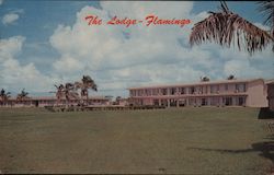 The Flamingo Lodge Postcard