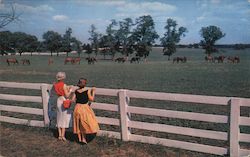 Blue Grass Farm Kentucky Postcard Postcard Postcard